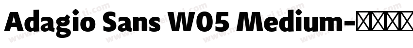Adagio Sans W05 Medium字体转换
